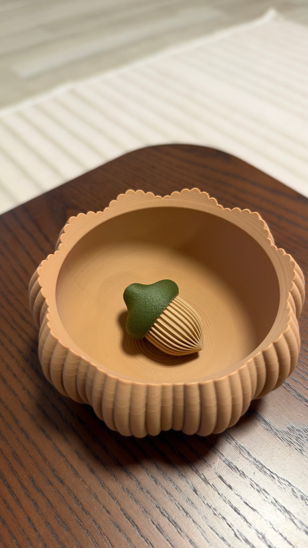Little Acorn