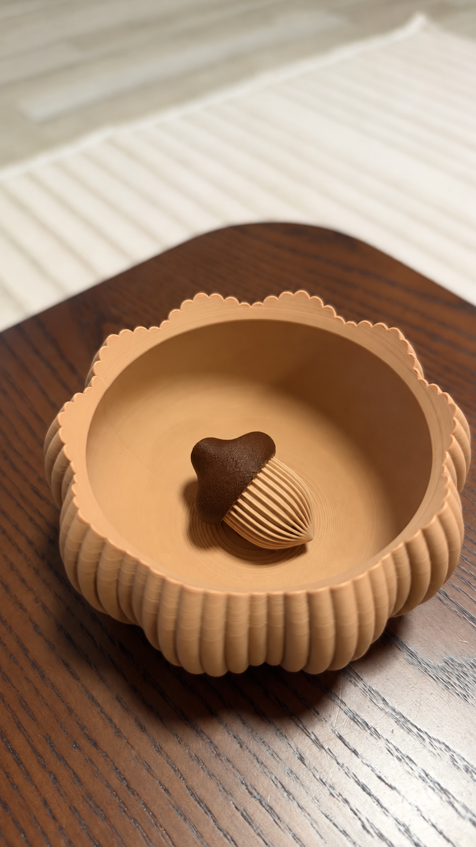 Little Acorn